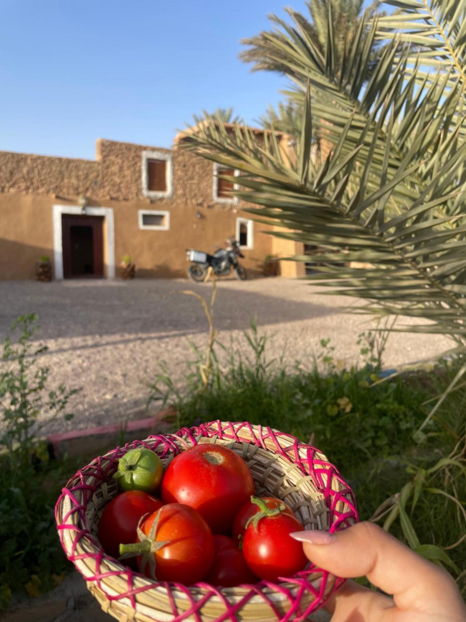 Maison D'Hote Dar Imrane Tata Екстер'єр фото
